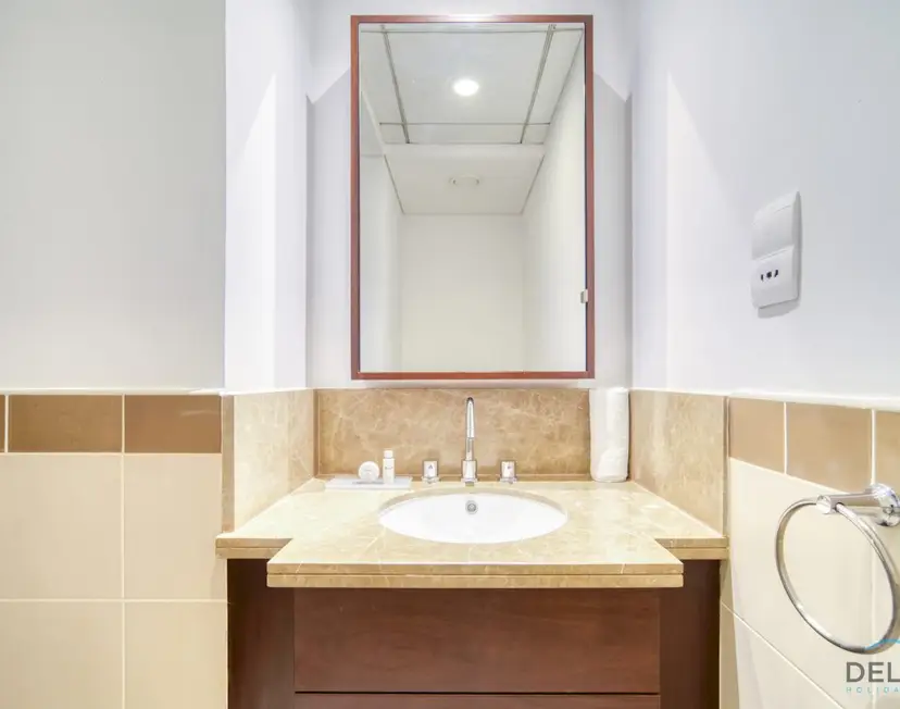 Harmonious 1-Bedroom at 29 BLVD Tower — Downtown Dubai — photo 24