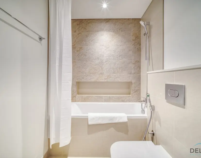 Exquisite 1-Bedroom — Downtown Dubai — photo 25