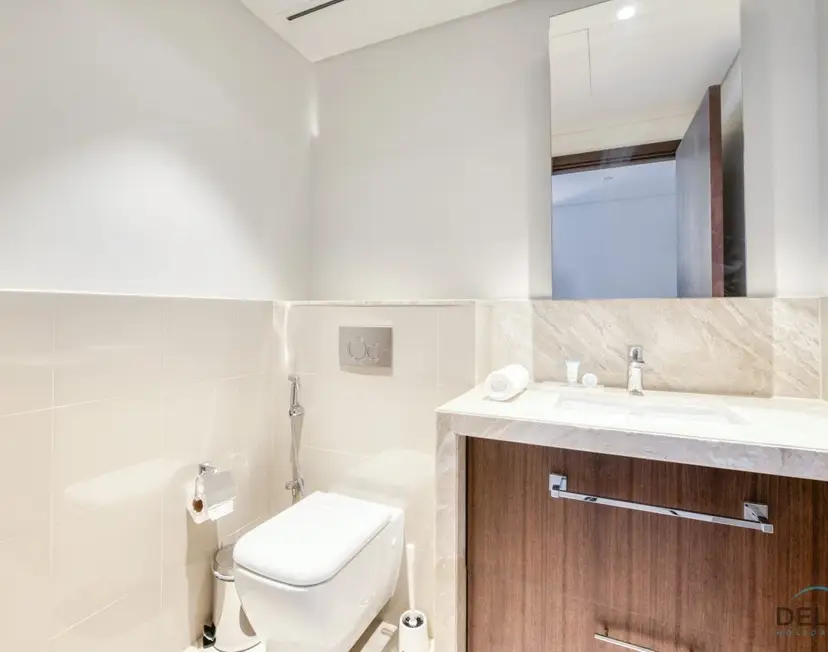 Luxurious 2-Bedroom Apartment at Boulevard Point — Downtown Dubai — photo 28