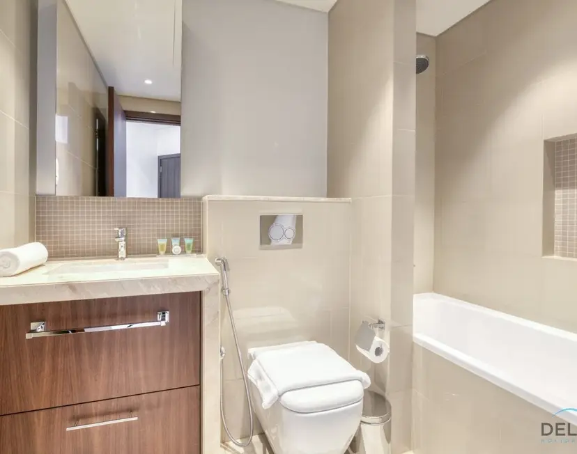 Luxurious 2-Bedroom Apartment at Boulevard Point — Downtown Dubai — photo 33