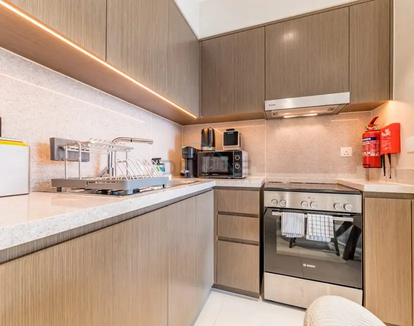 Apartment Steps from Burj Khalifa, Dubai Mall & Metro — Downtown Dubai — photo 11