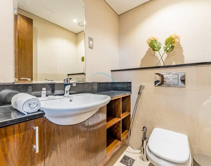 Apartment near Burj Khalifa and Dubai Mall, Central Location — Downtown Dubai — photo 15